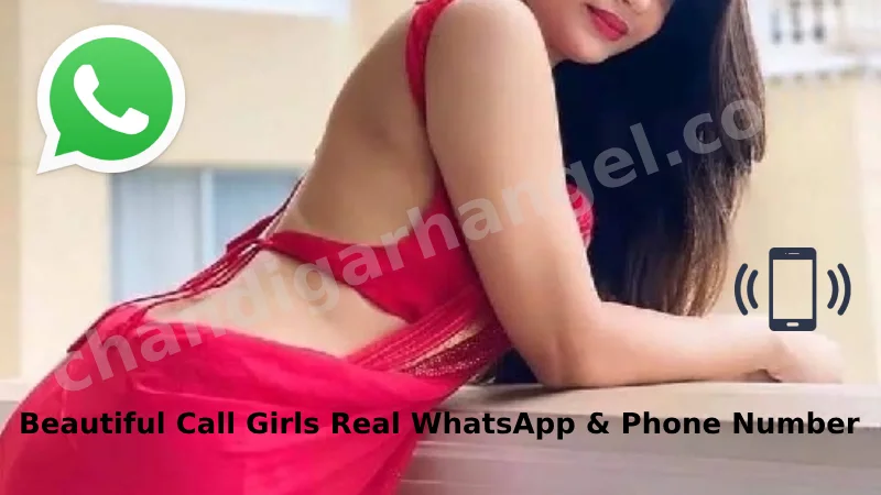 chandigarh call girls