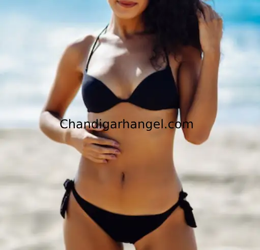 Meera Sector 26 Chandigarh Call Girl